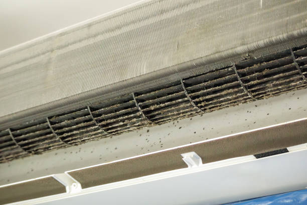 Best Dryer Vent Cleaning Services  in New Plymouth, ID